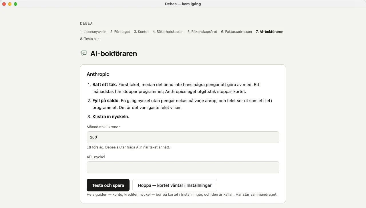 Steget AI-bokföraren med månadstak i kronor och ett tomt fält för API-nyckeln
